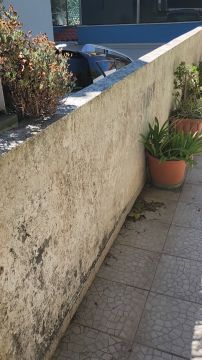 Pintura Exterior