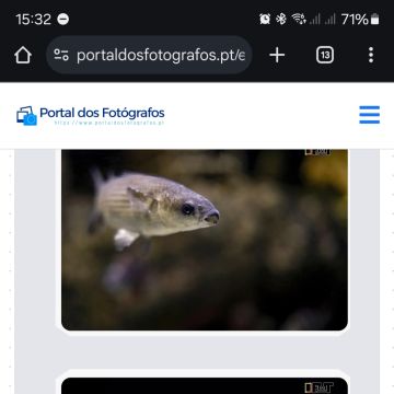 Portal dos Fotógrafos - Vila Franca de Xira - Aulas de Produção de Áudio