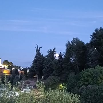 Henrique Sol - Bragança - Traduction du latin