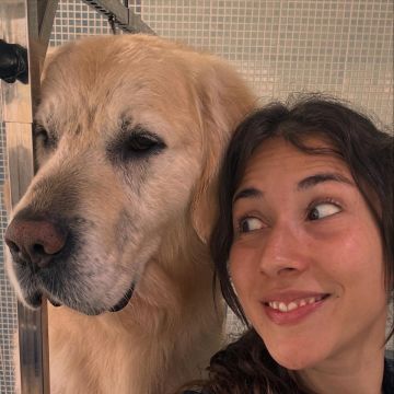 Mello Grooming & Pet Sitting - Seixal - Cuidados para Animais de Estimação
