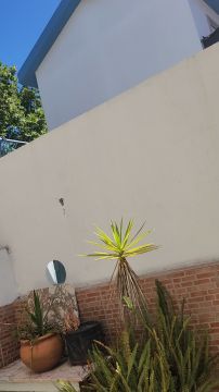Pintor de Exterior - Casa