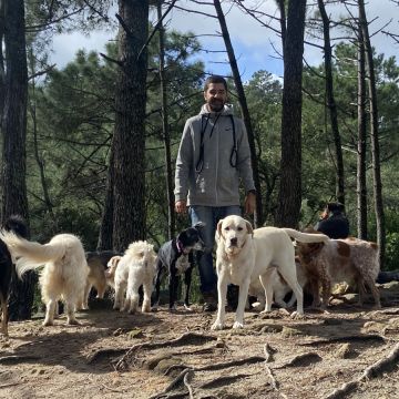 Lorran.adestrador - Odivelas - Dog Walking