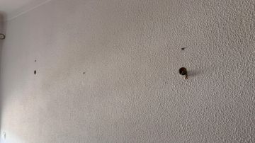 PB soluções - Figueira da Foz - Instalação de Lâmpada