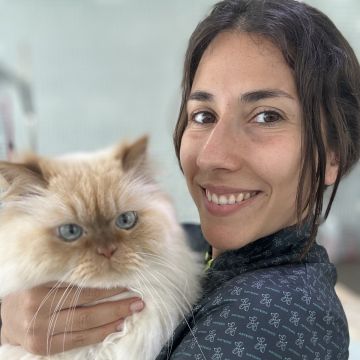 Mello Grooming & Pet Sitting - Seixal - Pet Sitting