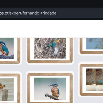 Portal dos Fotógrafos - Vila Franca de Xira - Fotografia
