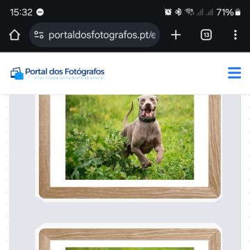 Portal dos Fotógrafos - Vila Franca de Xira - Aulas de Fotografia