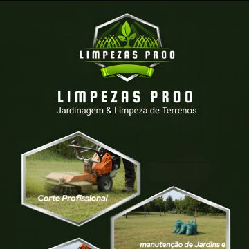 LimpezasProo - Aveiro - Élagage et entretien des arbres