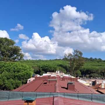 Reaust - Prestação de serviços Limitada - Lisboa - Organização da Casa