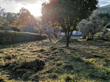 Serviço de Jardinagem