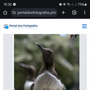 Portal dos Fotógrafos - Vila Franca de Xira - Fotografia Corporativa