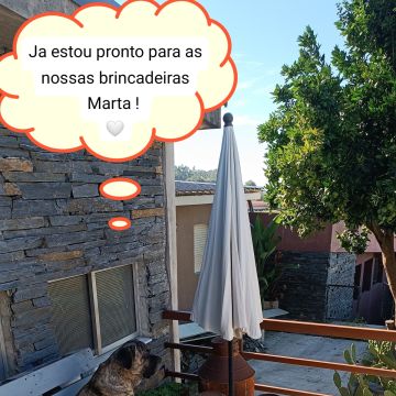 Marta Lima - Trofa - Hotel para Cães