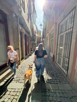 Miriam Sá - Braga - Animal Behavior Modification