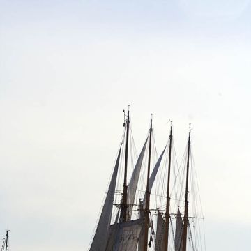 Rosário Leite - Cascais - Explicações de Biologia