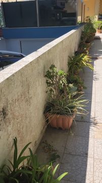 Pintura - Casa