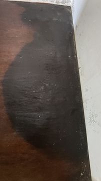Carpentry and Woodworking