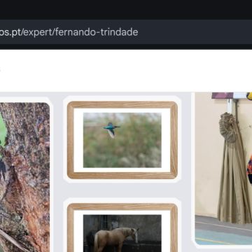 Portal dos Fotógrafos - Vila Franca de Xira - Fotografia de Crianças