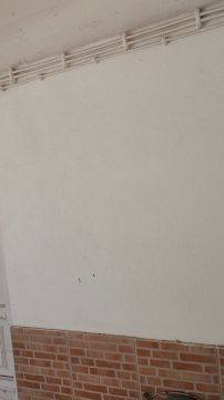 Pintura