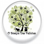 O Bosque das Patinhas - Matosinhos - Dog Walking