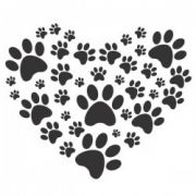 SosPets - Porto - Dog Training - Private Lessons