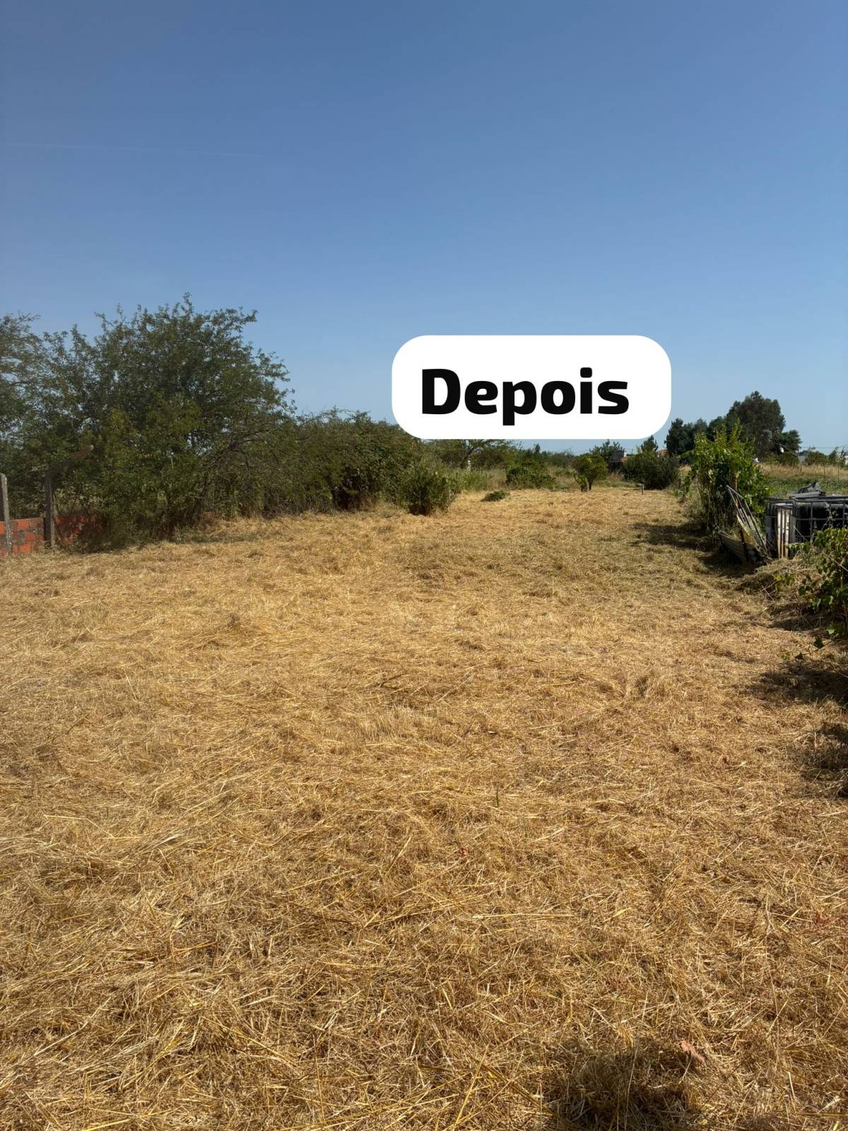 Terra Limpa - Limpeza de terrenos e Silvicultura - Coruche - Jardinagem e Relvados
