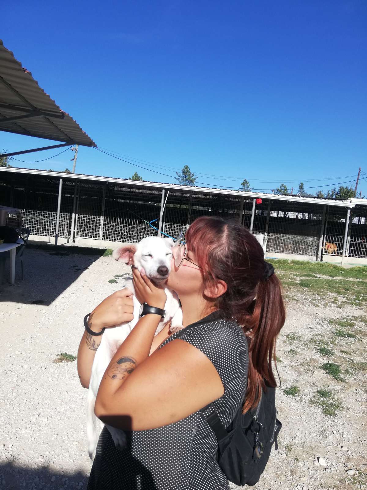 Iara Rodrigues pets&pics - Sesimbra - Hundepension