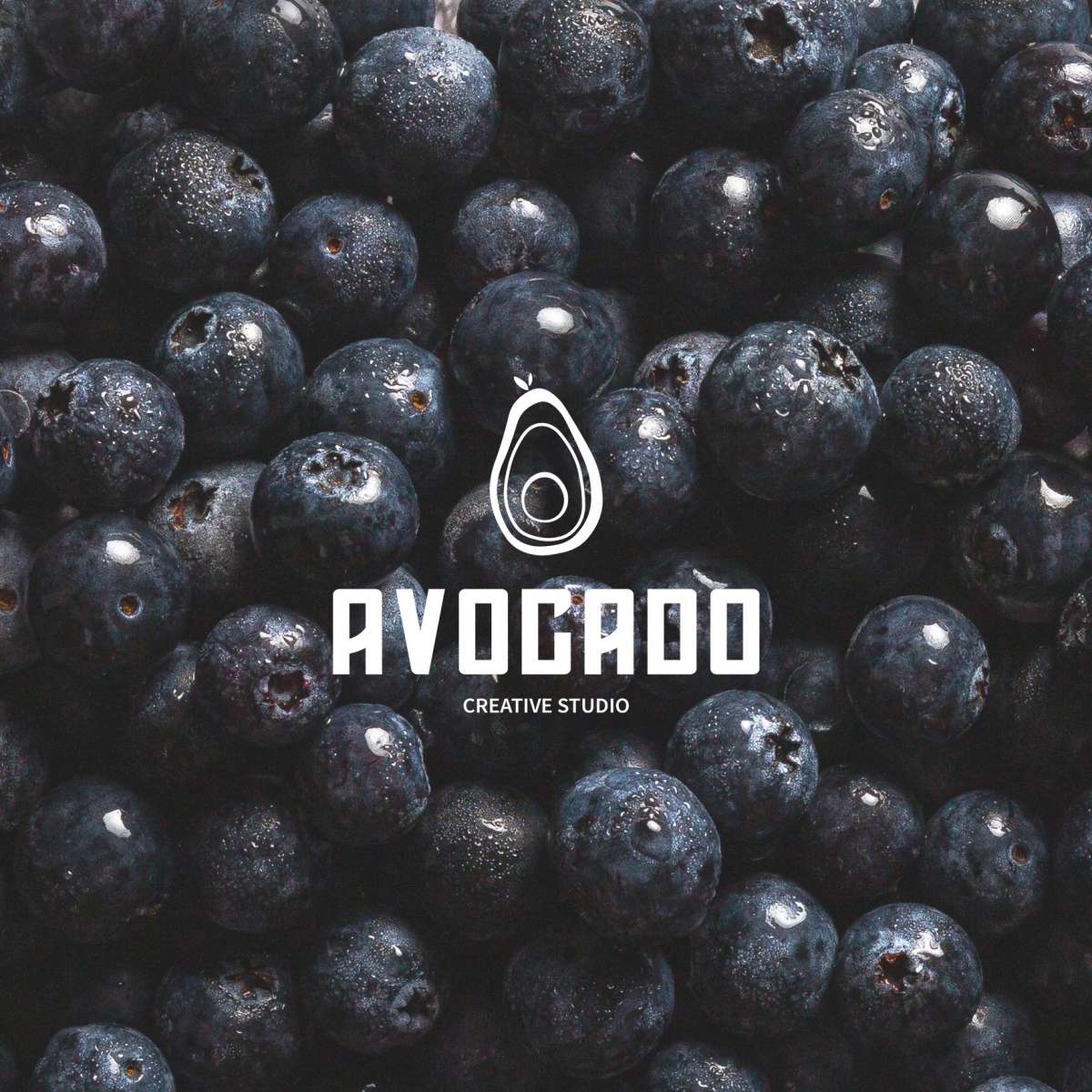 Avocado Creative Studio - Rio Maior - Fotografía de negocios