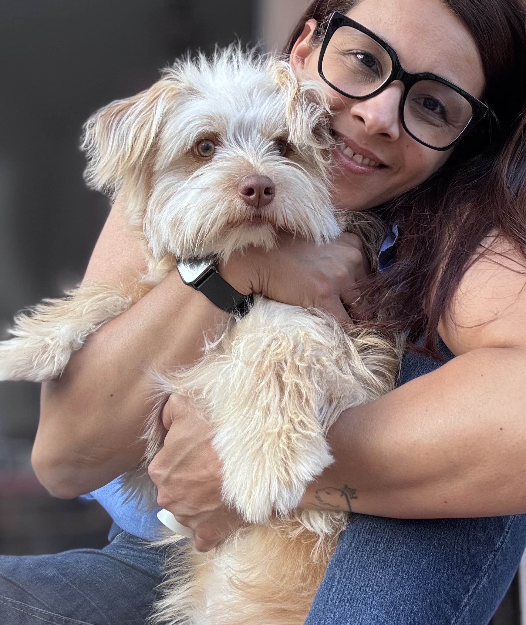 Lenyce Lima - Ovar - Pet Sitting