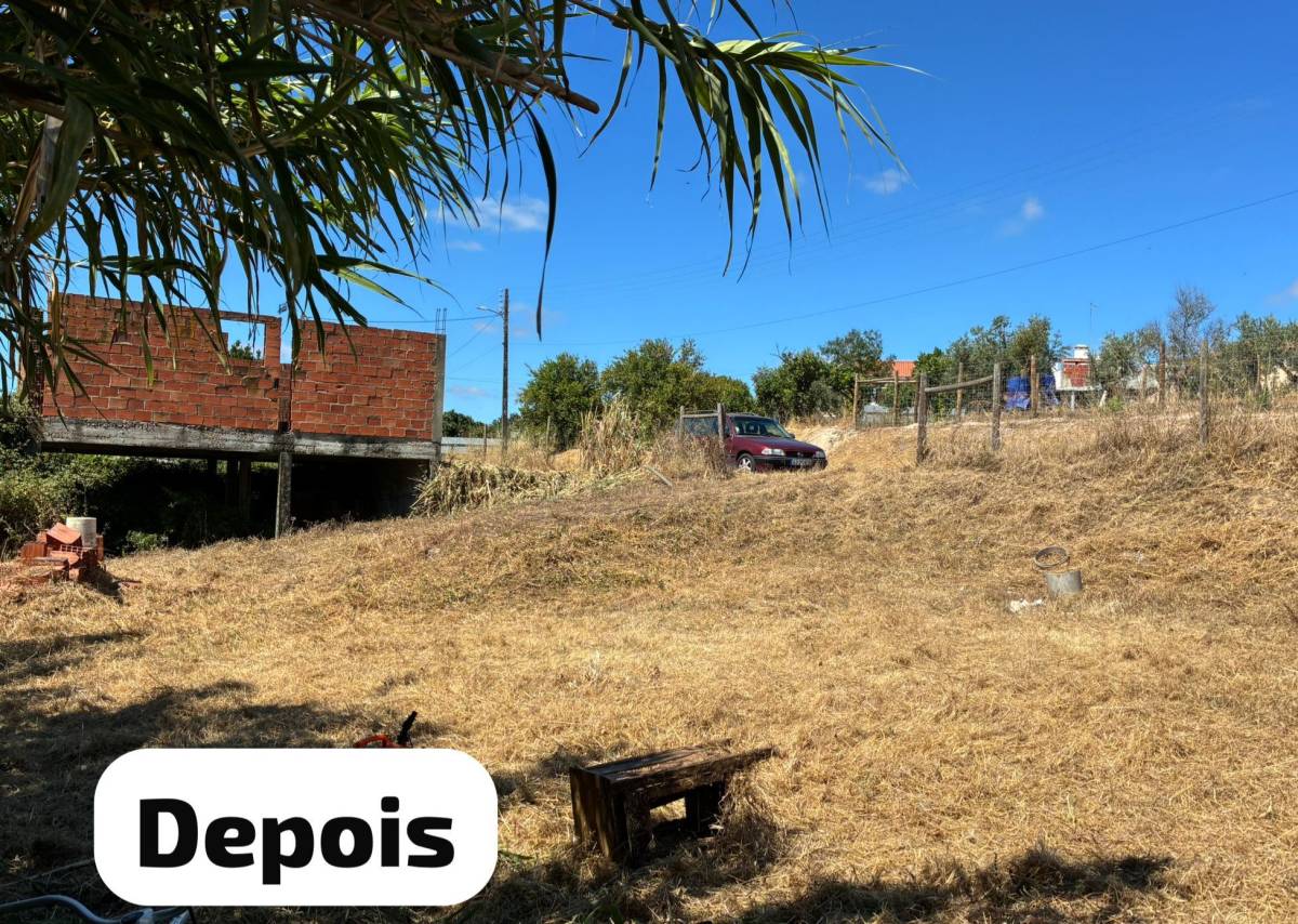 Terra Limpa - Limpeza de terrenos e Silvicultura - Coruche - Limpa-neves (Residencial)