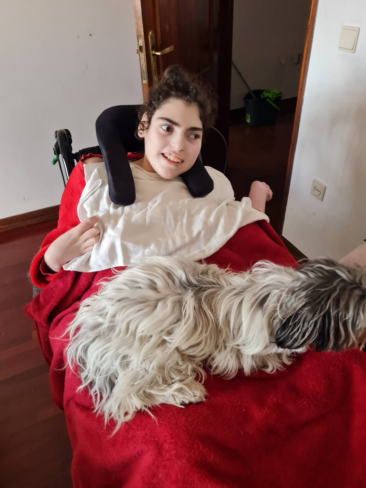 Liliana - Viseu - Hotel para Cães