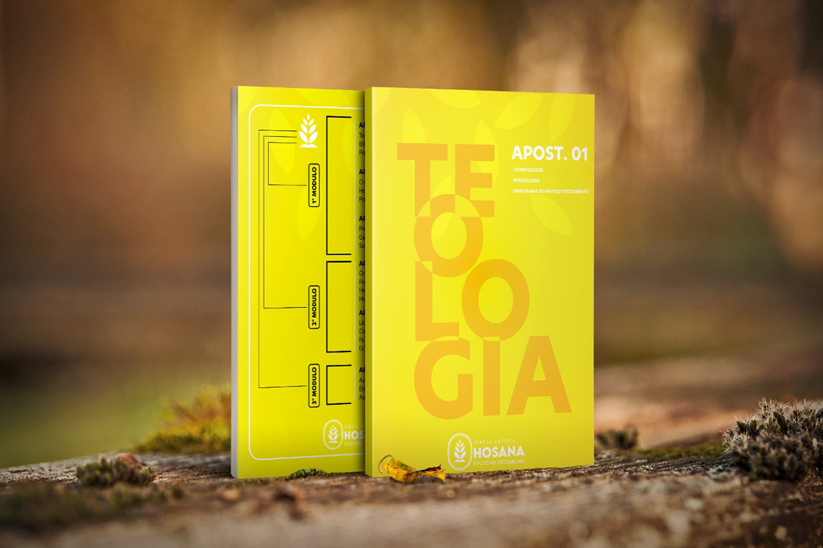 Bruno Designer - Figueira da Foz - Animation