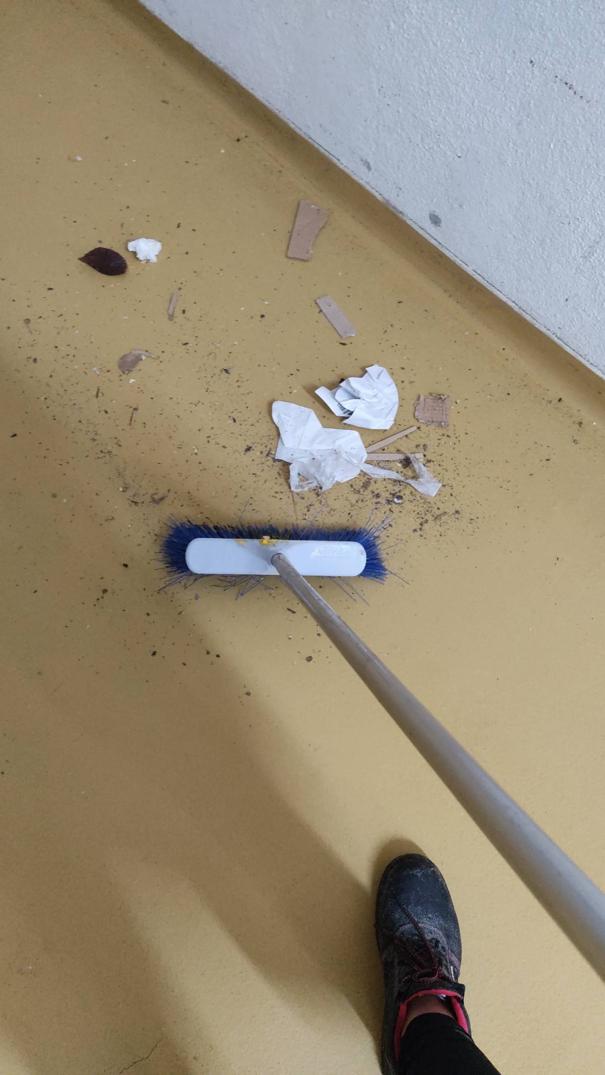 Manuela Santana - Amadora - House Cleaning (Recurring)