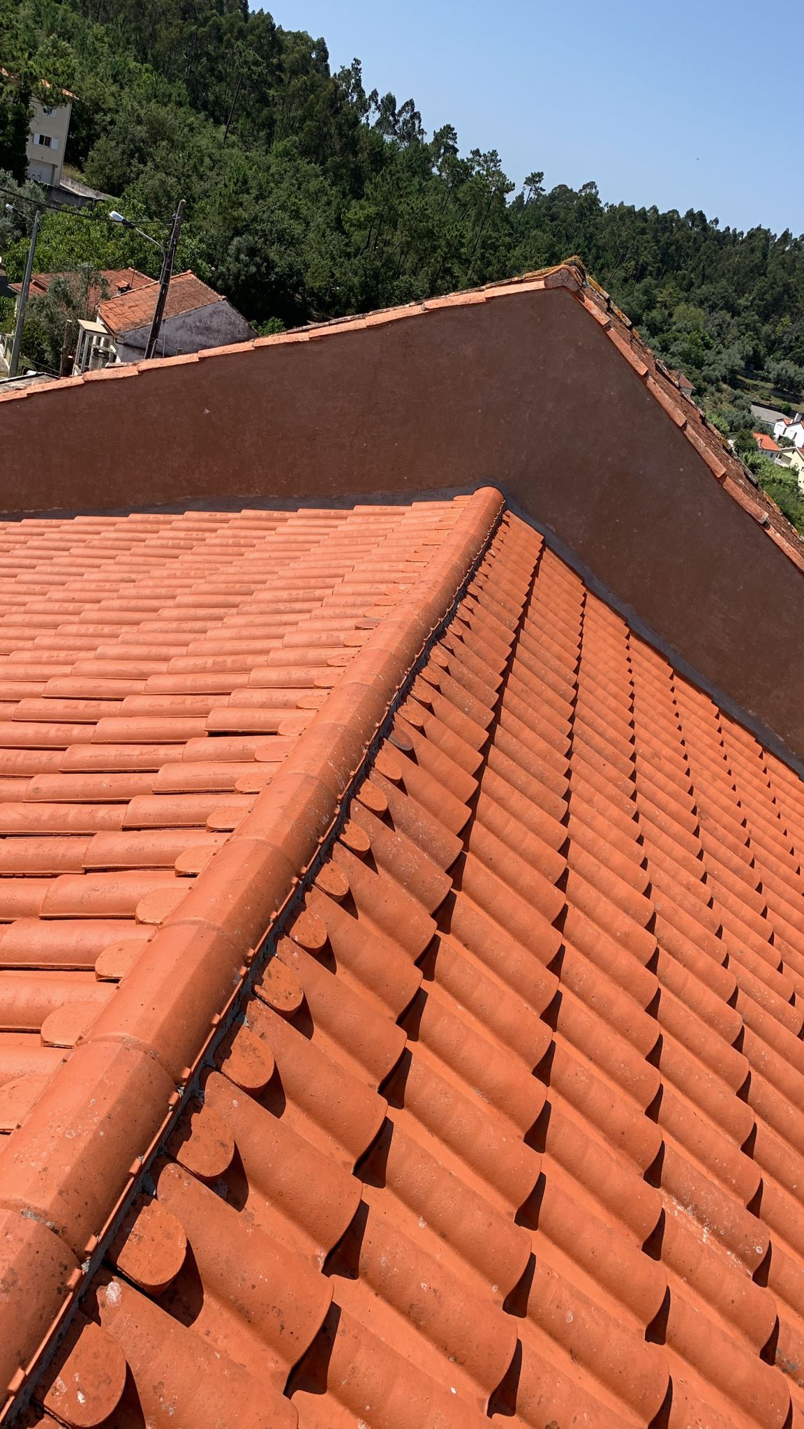 Jonatan Porto - Coimbra - Entfernung von Gebüsch- und Baumaufwuchs