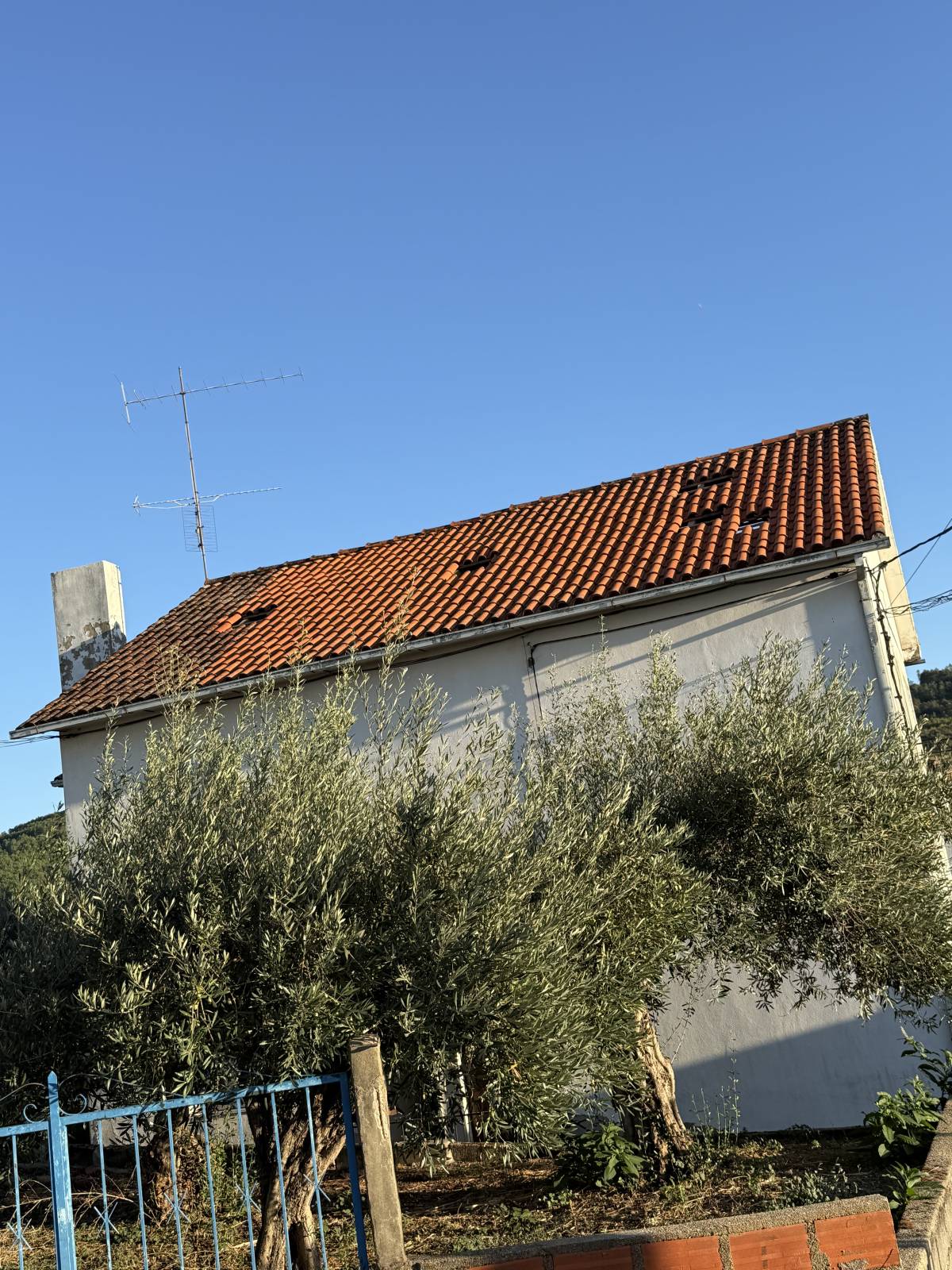 Carlos - Covilhã - Nettoyage de toiture