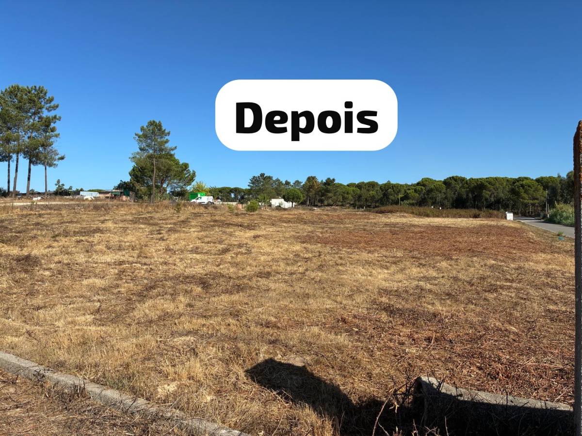 Terra Limpa - Limpeza de terrenos e Silvicultura - Coruche - Remoção de Arbustos