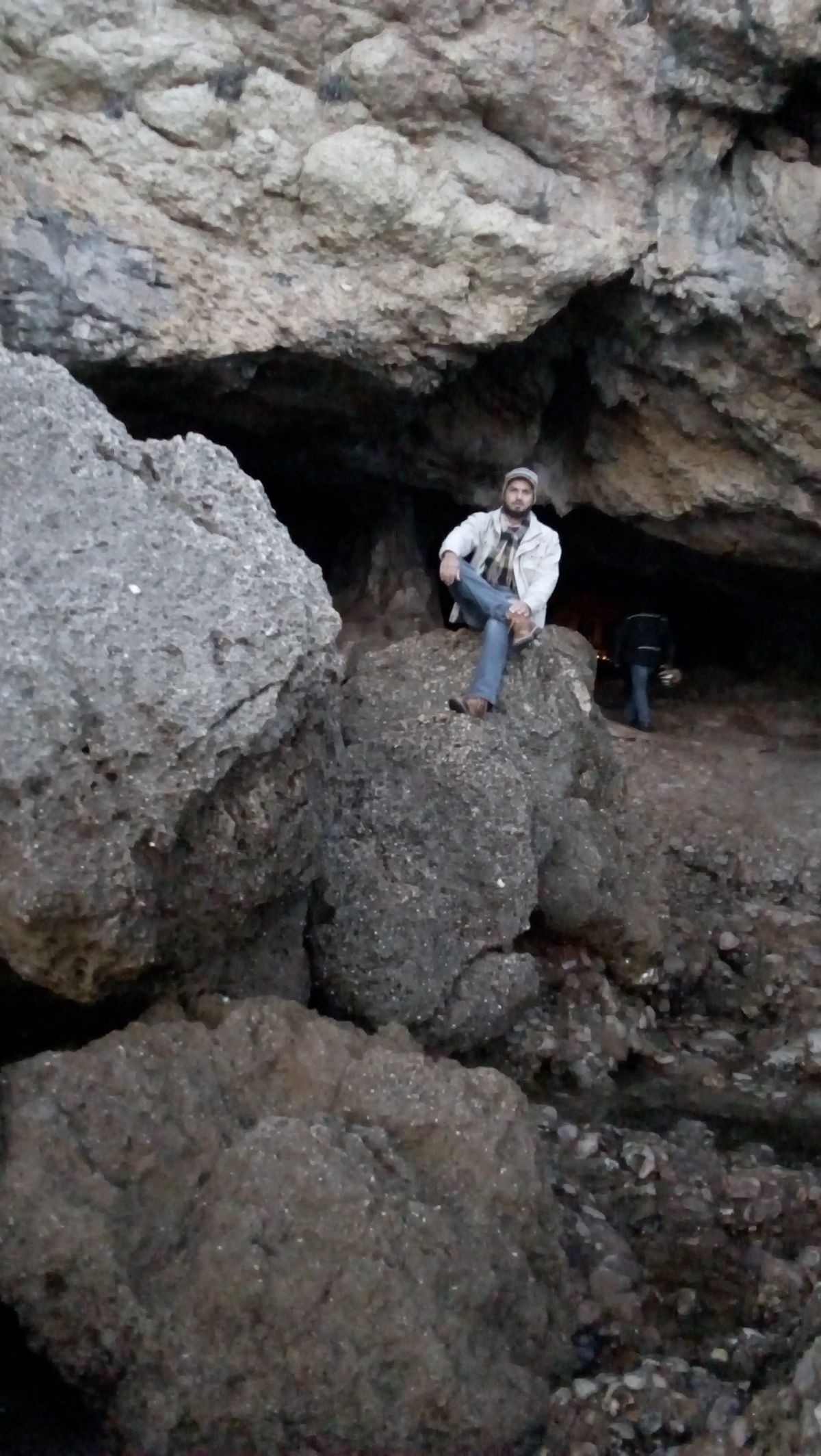 Diego Ribeiro - Setúbal - Tree Stump Grinding and Removal