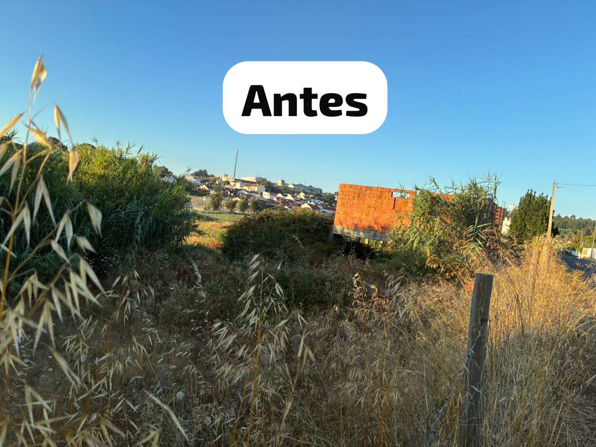 Terra Limpa - Limpeza de terrenos e Silvicultura - Coruche - Jardinagem