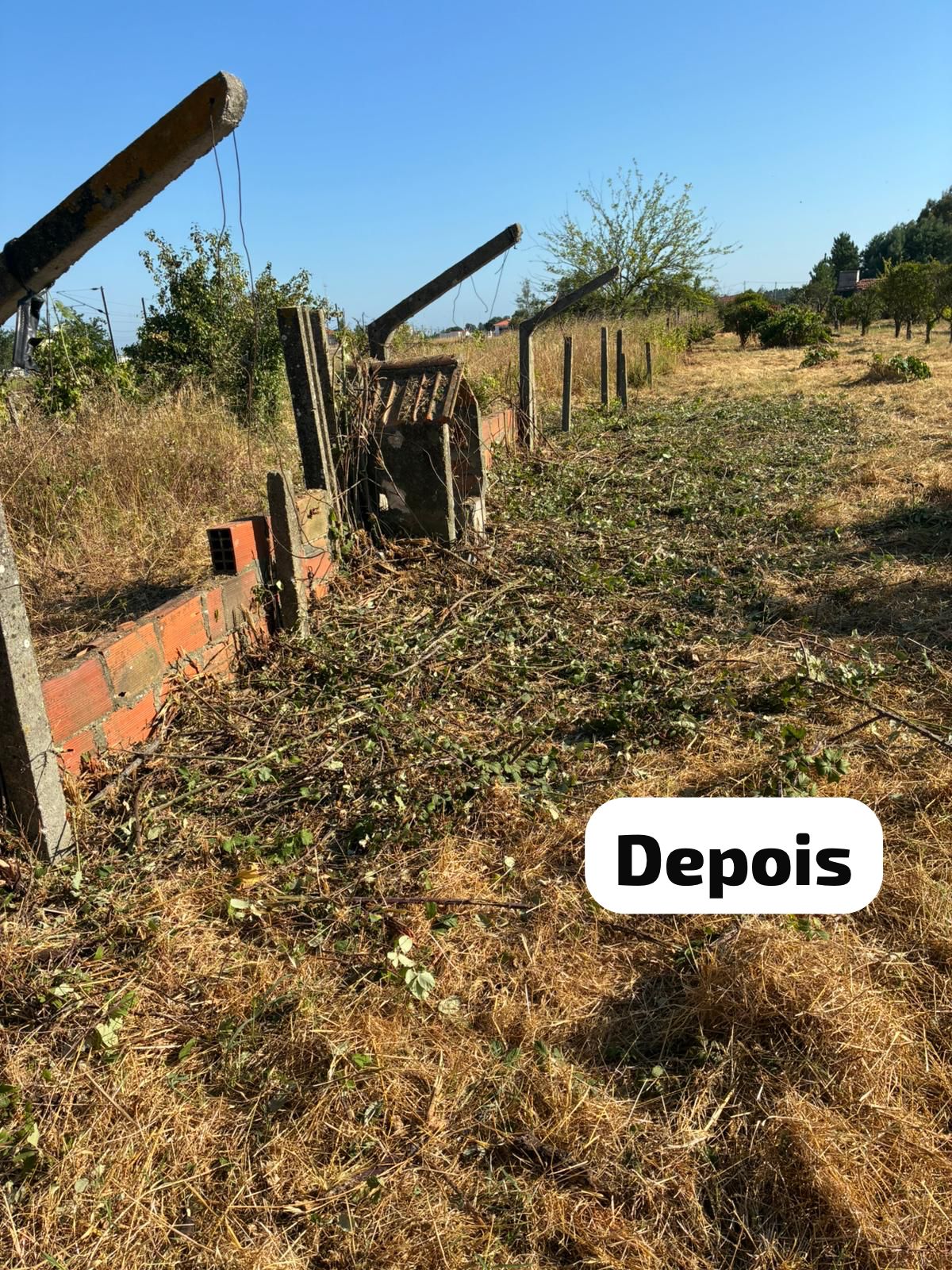 Terra Limpa - Limpeza de terrenos e Silvicultura - Coruche - Remoção de Ervas Daninhas