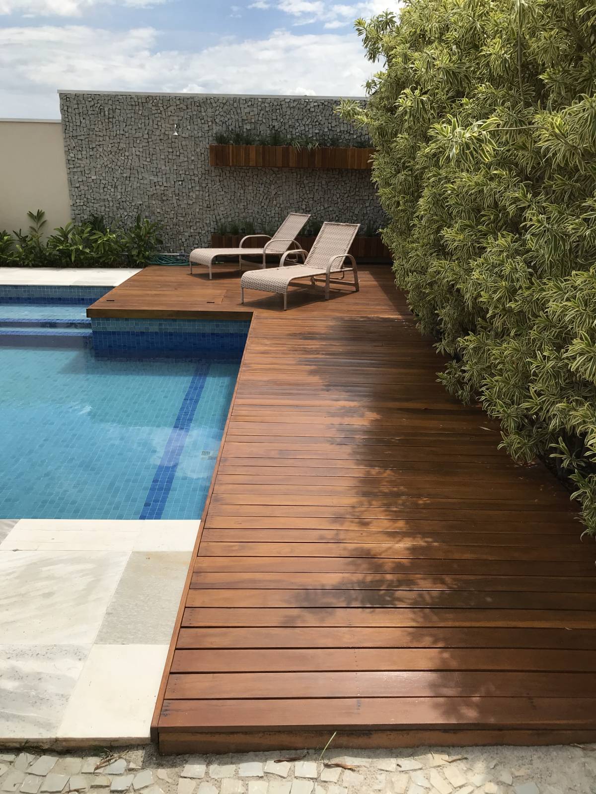 Ofwoodfaz - Loulé - Shrub Removal