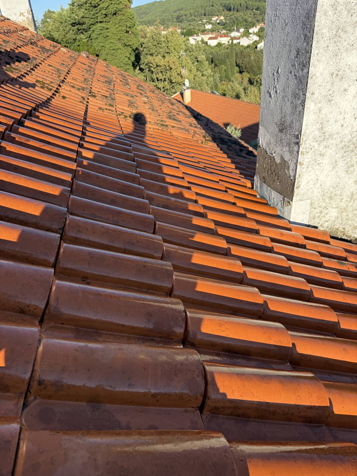 Carlos - Covilhã - Organisation de la maison
