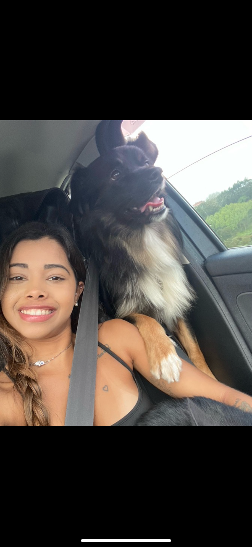 Gabrielle Andrade /petsitter - Azambuja - Cat Sitting