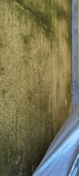 Experte für den Hausbau - Haus