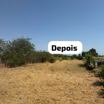 Terra Limpa - Limpeza de terrenos e Silvicultura - Coruche - Jardinagem e Relvados