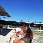 Iara Rodrigues pets&pics - Sesimbra - Hundepension