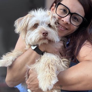 Lenyce Lima - Ovar - Pet Sitting