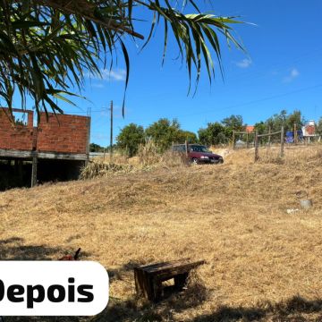 Terra Limpa - Limpeza de terrenos e Silvicultura - Coruche - Limpa-neves (Residencial)