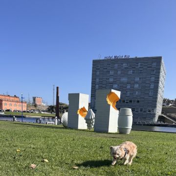 Lenyce Lima - Ovar - Banhos e Tosquias para Animais