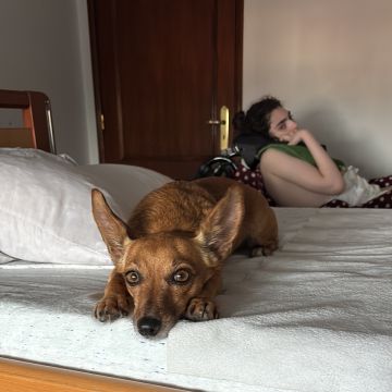 Liliana - Viseu - Ama