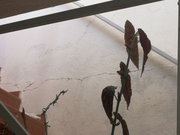 Experte für den Hausbau - Haus