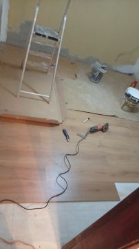 Crremodela - Loures - Élagage et entretien des arbres