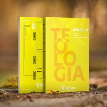 Bruno Designer - Figueira da Foz - Animation